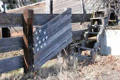 DSC_0023 (Large).JPG